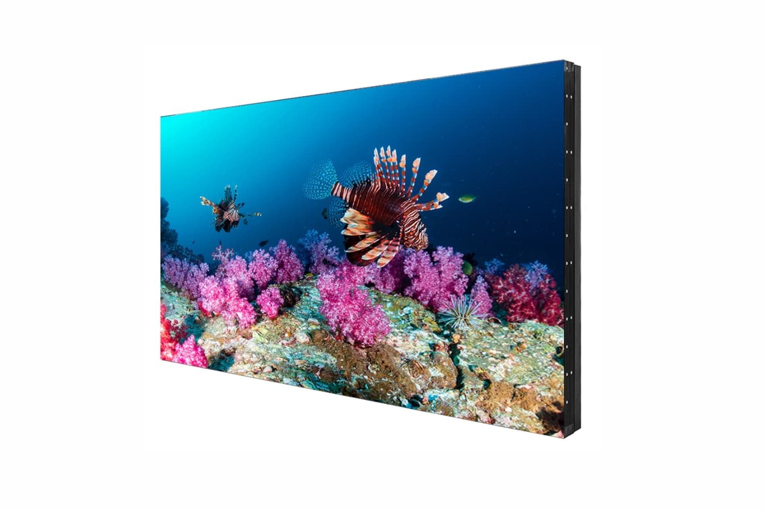  Фото дисплей для видеостен eliteboard 55" pk555fcbn - фото 2