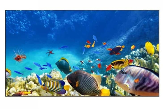  Фото панель для видеостен eliteboard 55" ba-55d7 - фото 1