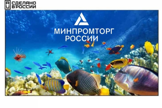  Фото панель для видеостен eliteboard 55" be-55c5 - фото 1