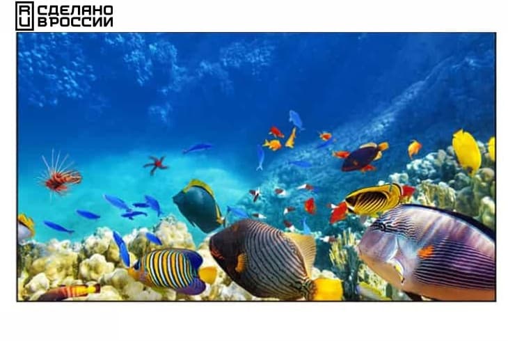  Фото панель для видеостен eliteboard 55" be-55f7 - фото 1