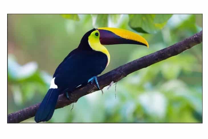  Фото видеостена 2x2 exell 55" expd-wa55ab15 - фото 2