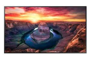 Изображение Профессиональный дисплей EliteBoard 43" SK-43B51