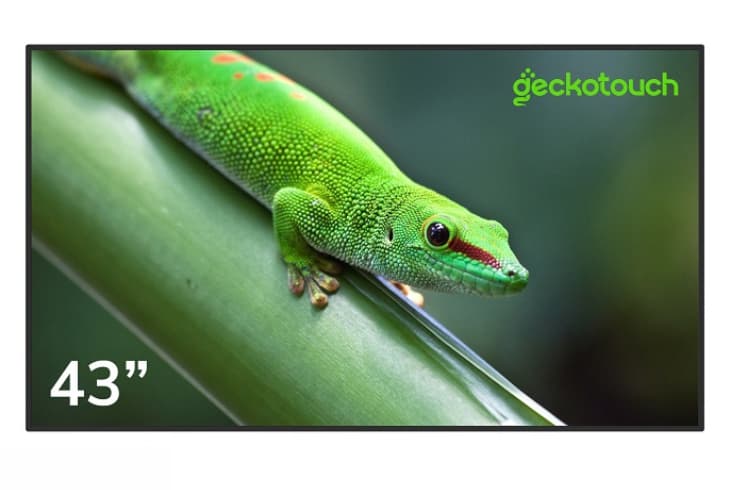  Фото профессиональный дисплей geckotouch 43" 43dh - фото 1