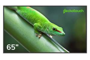 Изображение Профессиональный дисплей Geckotouch 65" 65DF