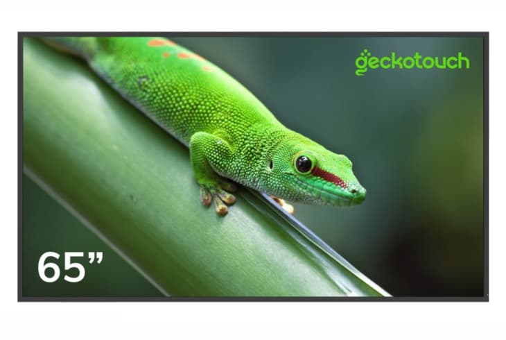  Фото профессиональный дисплей geckotouch 65" 65df - фото 1