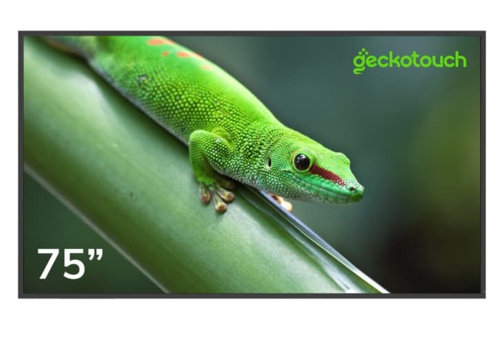  Фото профессиональный дисплей geckotouch 75" 75df - фото 1