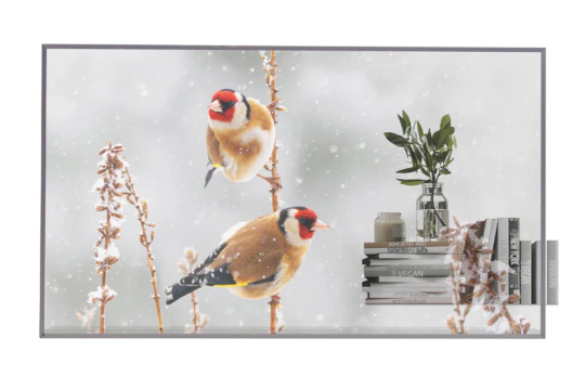 Изображение Прозрачный OLED-дисплей LG 55" 55EW5P-M Transparent