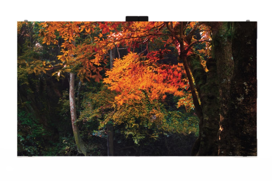  Фото светодиодный экран lg las014db7-f - фото 1